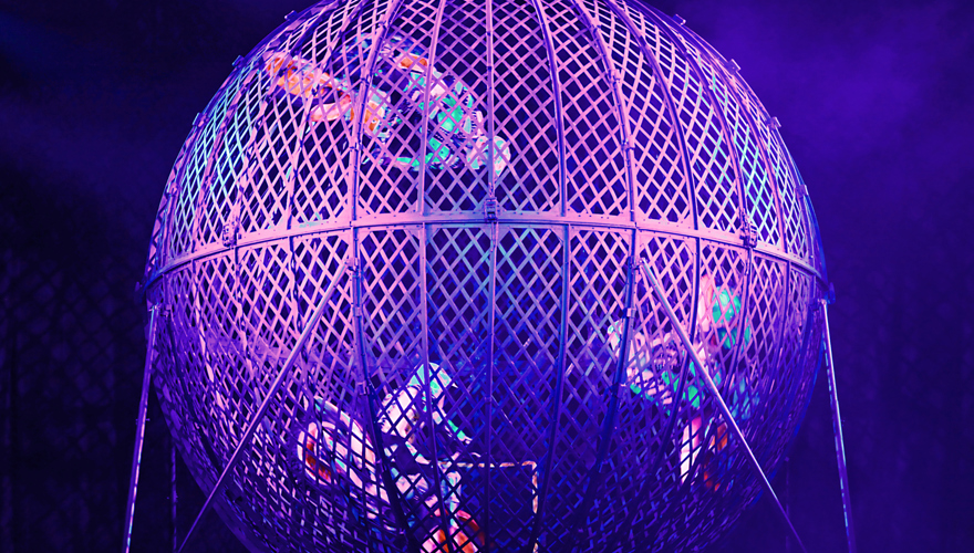 Caribbean Circus at Dalma Mall (2)
