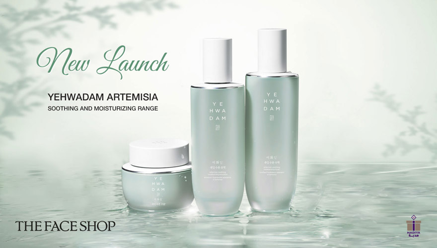 The Face Shop (11)