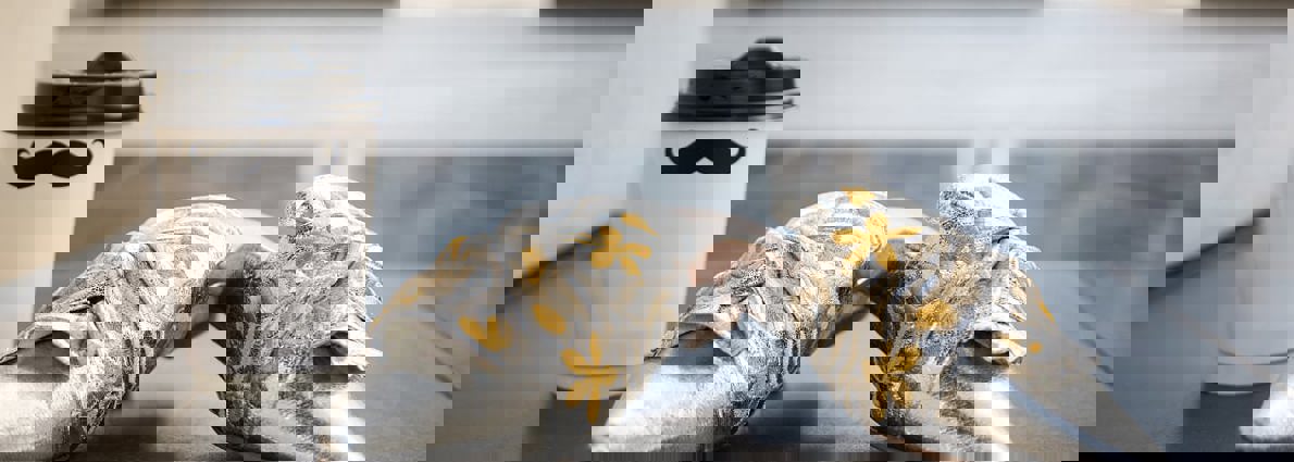 banner